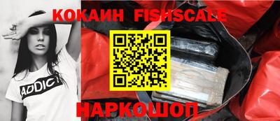крисы Шахты
