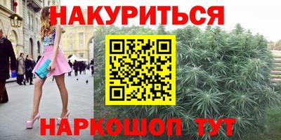 крисы Шахты