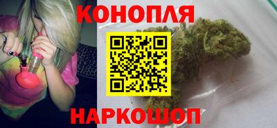 крисы Шахты