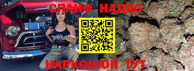 крисы Шахты