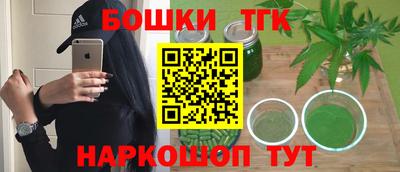 крисы Шахты
