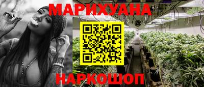 крисы Шахты