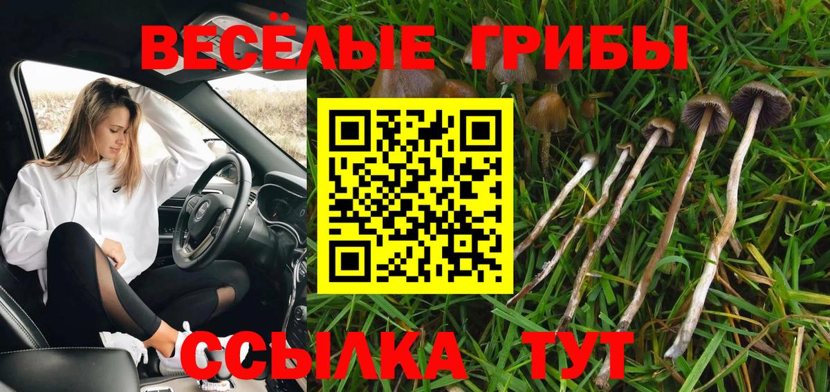 Псилоцибиновые грибы мухоморы  Вход с VPN  где можно купить наркотик  Мыски 