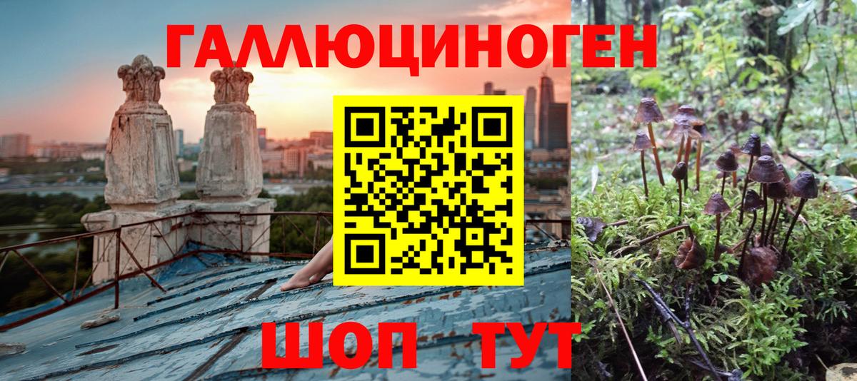 Псилоцибиновые грибы Psilocybine cubensis Мыски